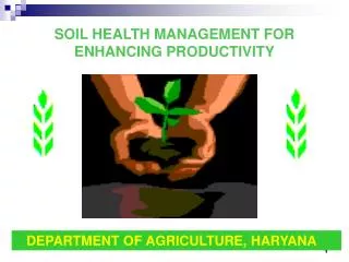 SOIL HEALTH MANAGEMENT FOR ENHANCING PRODUCTIVITY