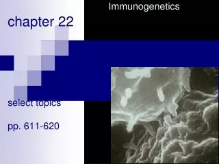 Immunogenetics chapter 22 select topics pp. 611-620