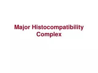 Major Histocompatibility Complex