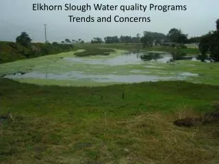 Elkhorn Slough Water quality Programs Trends and Concerns