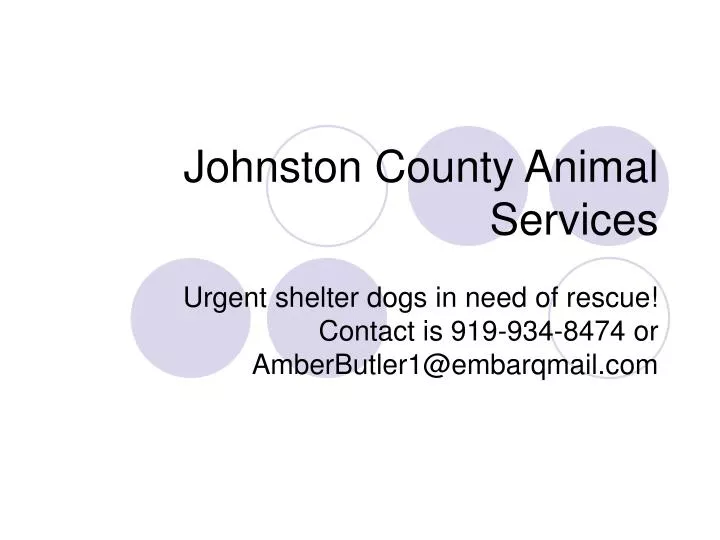 johnston county animal services