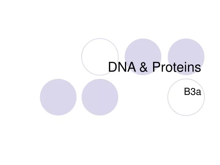 dna proteins
