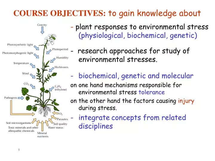 course objectives to gain knowledge about