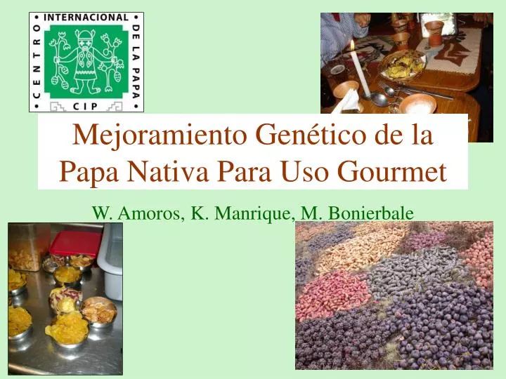 mejoramiento gen tico de la papa nativa para uso gourmet