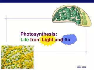 photosynthesis life from light and air