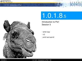 1.0.1.8 .5 Introduction to Perl Session 5
