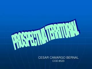 cesar camargo bernal cod 8523