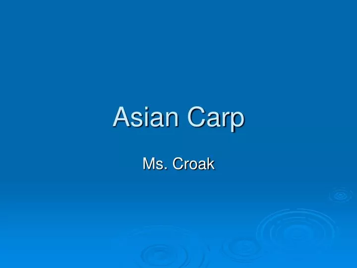 asian carp