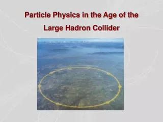 Particle Physics in the Age of the Large Hadron Collider