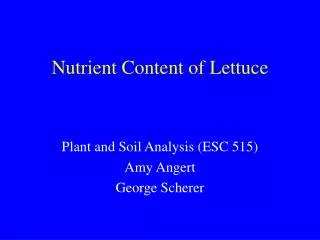 Nutrient Content of Lettuce