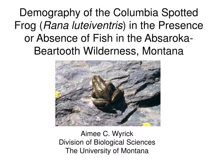 aimee c wyrick division of biological sciences the university of montana