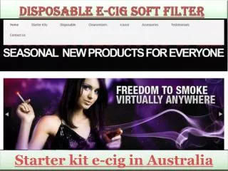 Disposable e-Cig soft filter