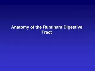 Anatomy of the Ruminant Digestive Tract