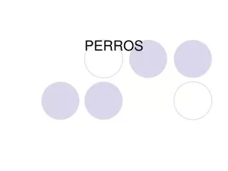 perros