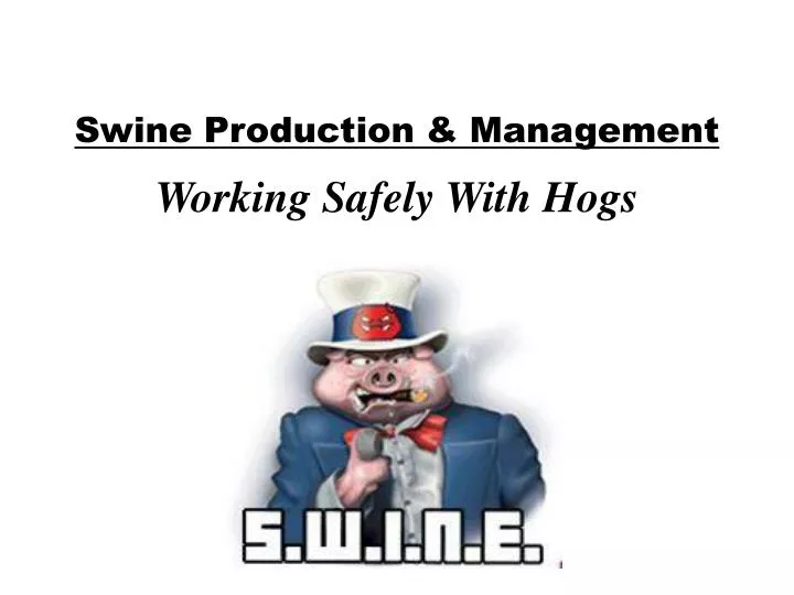 swine production management