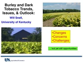 Burley and Dark Tobacco Trends, Issues, &amp; Outlook: Will Snell, University of Kentucky