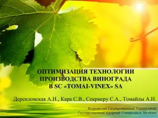 sc tomai vinex sa