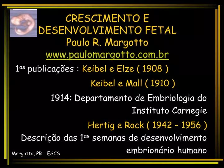crescimento e desenvolvimento fetal paulo r margotto www paulomargotto com br
