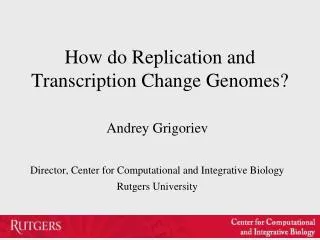 How do Replication and Transcription Change Genomes?