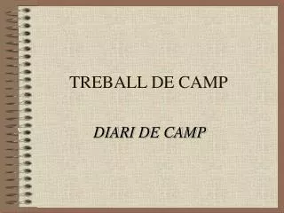 treball de camp