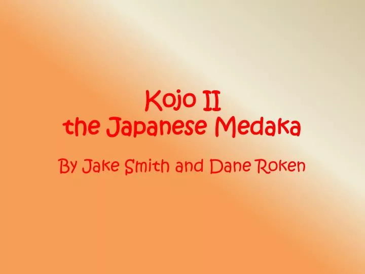 kojo ii the japanese medaka