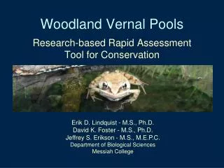 Woodland Vernal Pools
