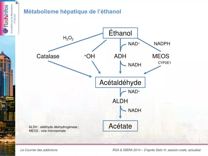 m tabolisme h patique de l thanol