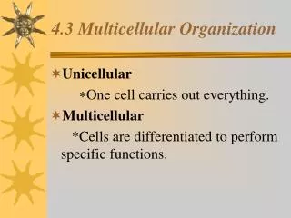 4.3 Multicellular Organization