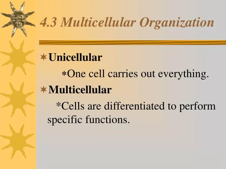 4 3 multicellular organization