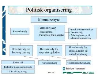 politisk organisering