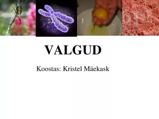 valgud
