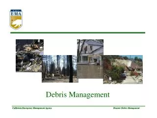 Disaster Debris Management