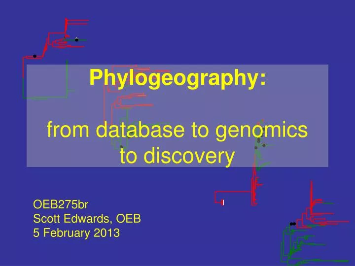 phylogeography from database to genomics to discovery