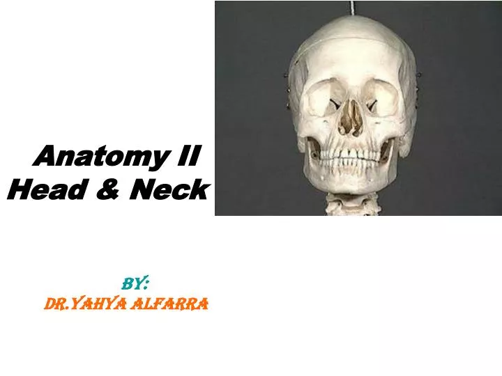 anatomy ii head neck by dr yahya alfarra