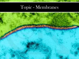 Topic - Membranes