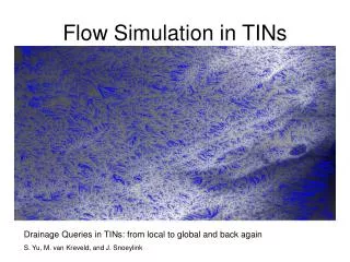 Flow Simulation in TINs