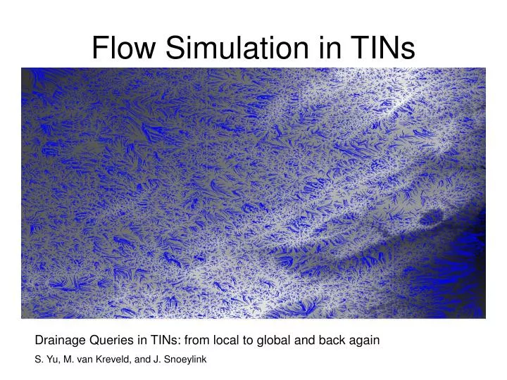 flow simulation in tins