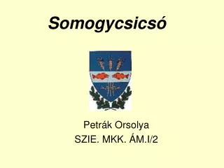 somogycsics