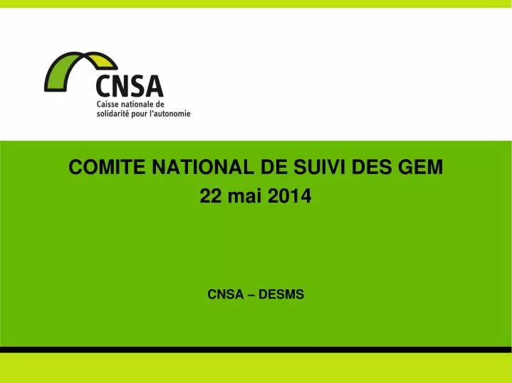 comite national de suivi des gem 22 mai 2014 cnsa desms