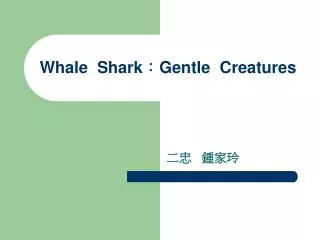 Whale Shark ? Gentle Creatures