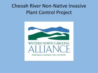 Cheoah River Non-Native Invasive Plant Control Project