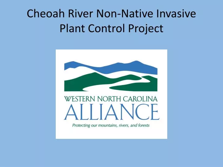 cheoah river non native invasive plant control project