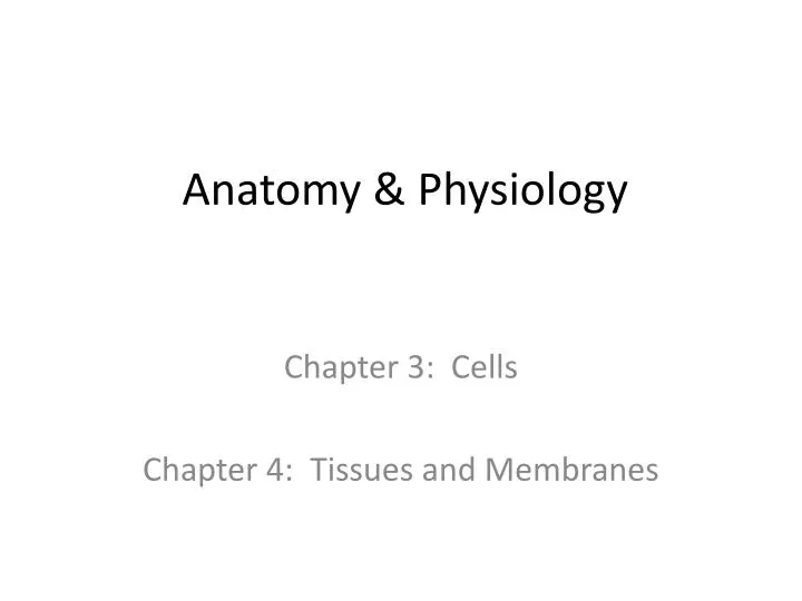 anatomy physiology