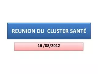 reunion du cluster sant