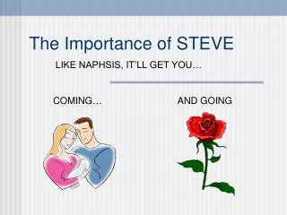 The Importance of STEVE