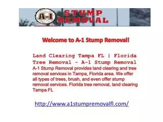 Land Clearing Tampa FL | Florida Tree Removal - A-1 Stump Re