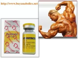 steroids for sale online