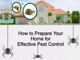 How to Prepare Your Home for Effective Pest Control