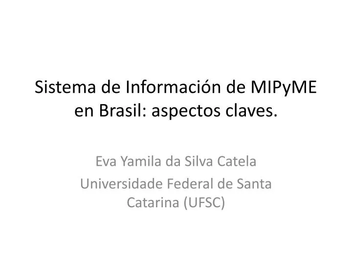 sistema de informaci n de mipyme en brasil aspectos claves