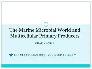 The Marine Microbial World and Multicellular Primary Producers